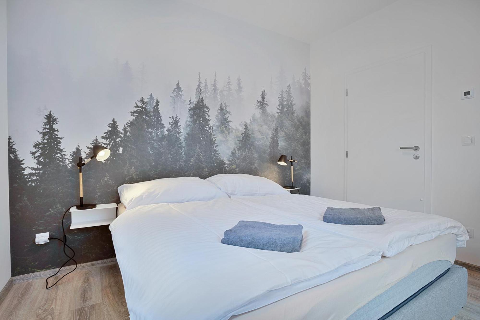 Mirabel Apartments Klinovec Loučná pod Klínovcem المظهر الخارجي الصورة